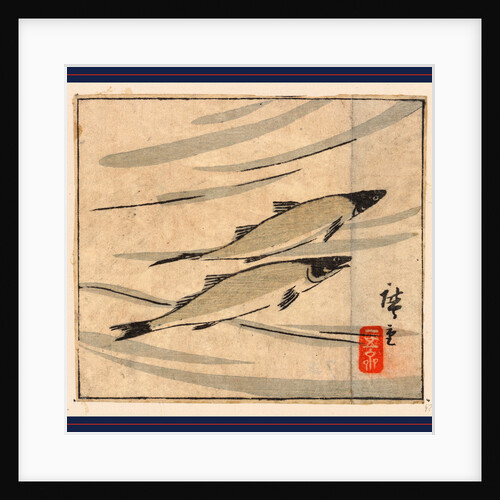 Ayu Zu, River Trout (Ayu) by Anonymous