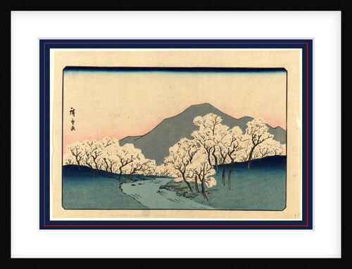 Grove of Blossoming Cherry Trees with Mountain in the Background. by Anonymous