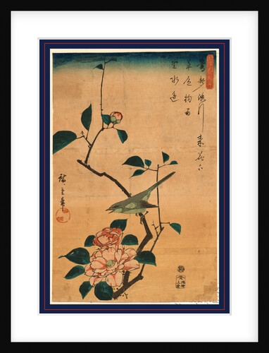 Bird on a Tree Branch with Camellia Blossom. by Anonymous