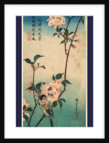 Kaido Ni Shokin, Small Bird on a Branch of Kaidozakura by Anonymous
