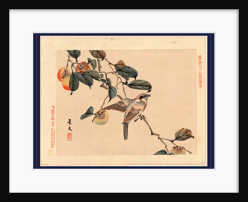 Bird Perched on a Branch in Persimmon Tree. by Anonymous