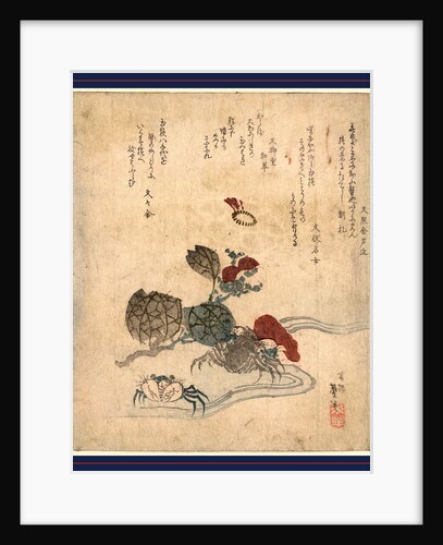 Two Crabs and a Camellia Blossom by Anonymous