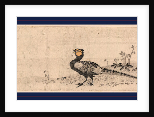 Pheasant Facing Left. by Anonymous