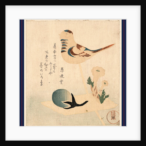 an Illustration of a Bird on a Stick with Flowers and an Unopened Blossom by Anonymous