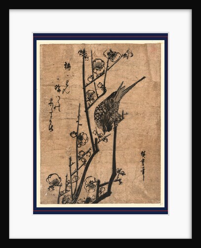 Bush Warbler on a Blossoming Branch of a Plum Tree. by Anonymous