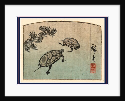 Two Turtles by Anonymous