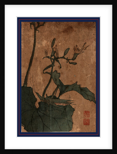 Batta[Inago(?), Between 1830 and 1844 Ikeda, Eisen 1790-1848 by Anonymous