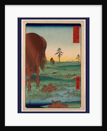 Two Horses Grazing on Open Plains with a View of Mount Fuji in the Background by Anonymous