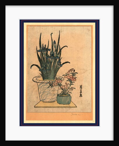 Two Flower Pots, One with Irises and the Other is the Pink Nadeshiko Flower by Anonymous