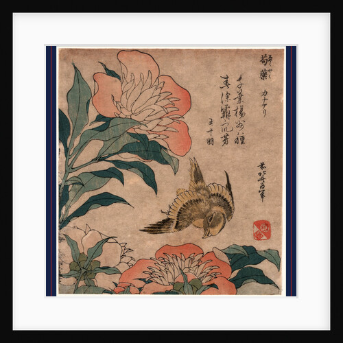 Shakuyaku Kana Ari, Peony and Canary by Anonymous
