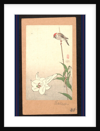 Small Red-Capped Bird Perched on a Bamboo Stake Supporting a Lily Plant. by Anonymous