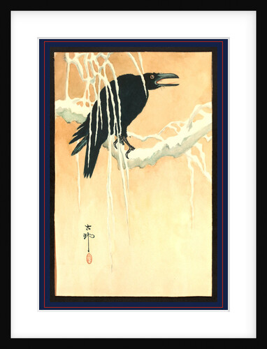 Blackbird (Raven or Crow) Perched on a Snow-Covered Branch. by Anonymous