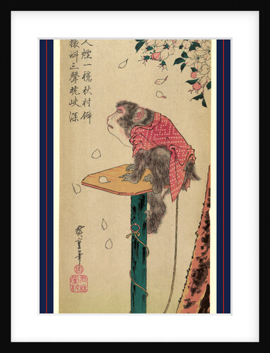 Monkey Sitting on a Post with Cherry Blossoms Falling Around It. by Anonymous
