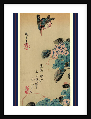 Ajisai ni kawasemi, Hydrangea and Kingfisher by Ando Hiroshige