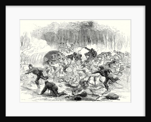 The Civil War in America: The Stampede from Bull Run 17 August 1861 by Anonymous