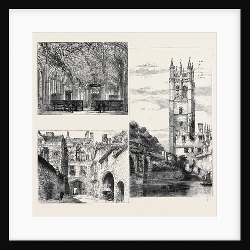 Oxford: Gateway, New College (Down Left); the Divinity School (Top Left); Tower, Magdalen College by Anonymous