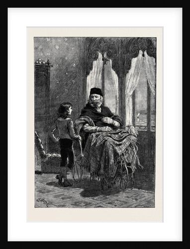 Giuseppe Garibaldi in 1882 by Anonymous