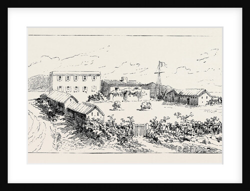 Garibaldi's House at Caprera by Anonymous