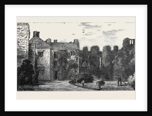 Leicester: The Abbey by Anonymous
