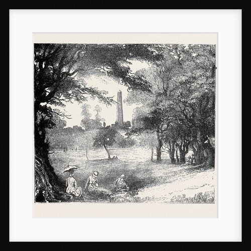 View in Phoenix Park, Dublin, Ireland by Anonymous