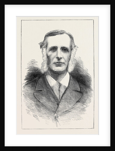 Mr. Thomas Henry Burke, the Late Under Secretary for Ireland by Anonymous