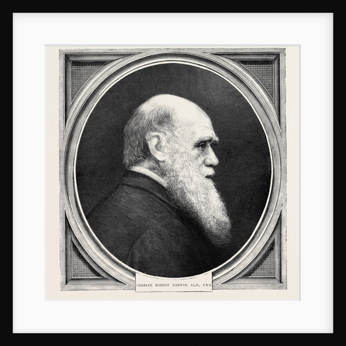 Charles Robert Darwin, Ll.D., F.R.S. by Anonymous