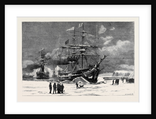 The Newfoundland Seal Fisheries, the Dundee Fleet Forcing Its Way Through the Ice Into St. John's Harbour by Anonymous