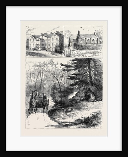 Ireland, the Assassination of Mrs. Henry Smythe by Anonymous