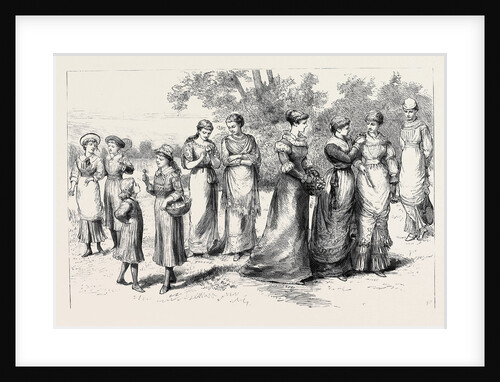 Rational Dress for Ladies, Notes at the Exhibition of Hygienic Costume by Anonymous