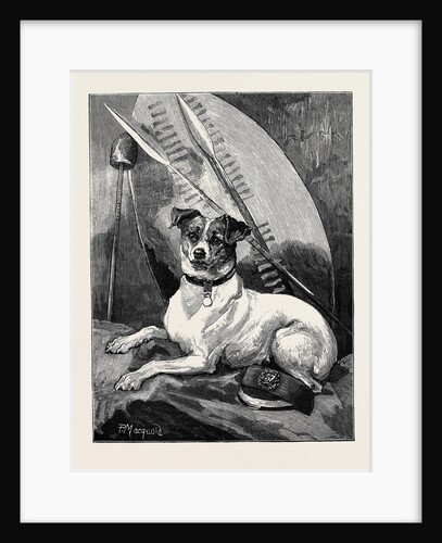 Tottie, a Regimental Pet by Anonymous