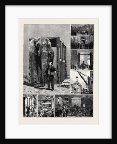 The Removal of Jumbo, on the Way to the Docks by Anonymous
