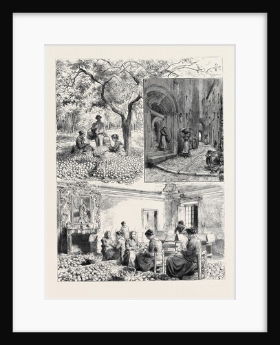 Her Majesty's Visit to Mentone by Anonymous