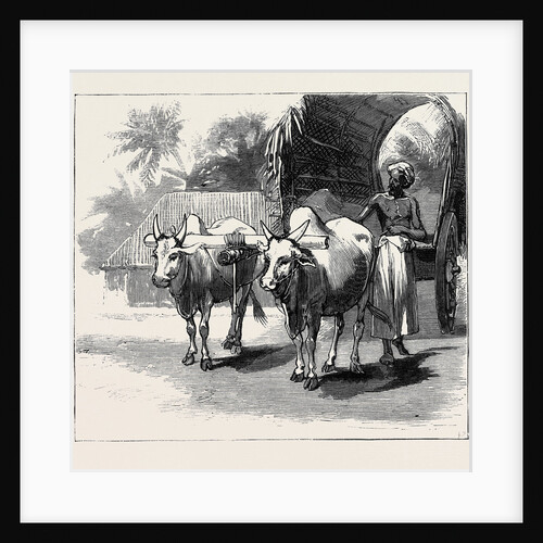 Round the World Yachting in the Ceylon, Ceylon: A Bullock-Cart by Anonymous