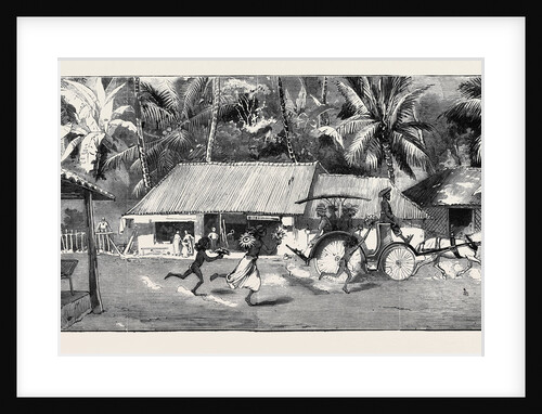 Round the World Yachting in the Ceylon, Ceylon: Our Drive to Wakwallah by Anonymous