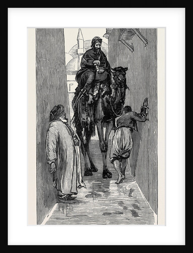Round the World Yachting in the Ceylon; Smyrna and Ephesus: An Awkward Path by Anonymous