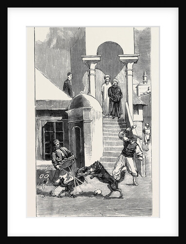 Round the World Yachting in the Ceylon; Smyrna and Ephesus: A Street Encounter by Anonymous