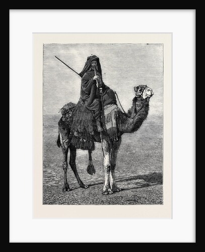 Egypt: A Travelling Bedouin by Anonymous