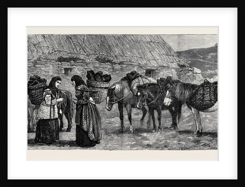 The Duke of Edinburgh in the Shetland Islands: Shetland Ponies by Anonymous