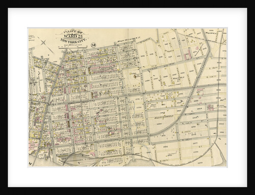 Part of Ward 23, New York City by Anonymous