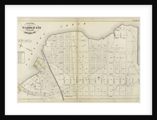 Part of Wards 17 & 18. City of Brooklyn, New York by Anonymous