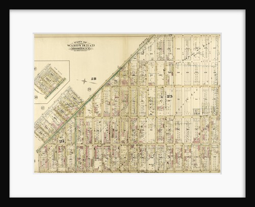 Part of Wards 18, 21 & 25. Brooklyn, N.Y by Anonymous