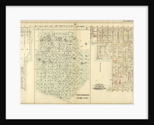 Part of Ward 8. Brooklyn, N.Y by Anonymous