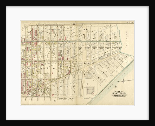 Part of Wards 9 & 24. Brooklyn, N.Y by Anonymous