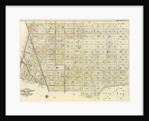 Bounded by Williams Avenue, Riverdale Avenue, Rockaway Avenue, Hunter Fly Road, Bristol Street, Sutter Avenue, Chester Street, East New York Parkway, Rockaway Avenue and Atlantic Avenue, New York by Anonymous