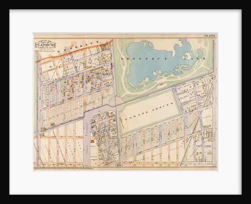 Part of the Town of Flatbush, Kings Co., N.Y by Anonymous
