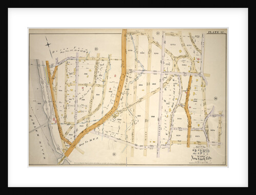 Part of the 23rd Ward, New York City by Anonymous