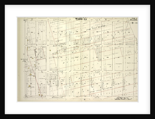 Map bound by Troy Ave., City Line, Brooklyn Ave., Park PL; Including Albany Ave., Kingston Ave., Butler St., Douglass St., Degraw St., Eastern Parkway, Union St., President St., Carroll St., Crown St., Montgomery St., Marion St., New York by Anonymous