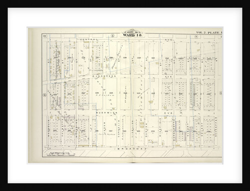 Map bound by Central Ave., Schaeffer St., Broadway, Magnolia St; Including Evergreen Ave., Bushwick Ave., Palmetto St., Woodbine St., Ivy St by Anonymous