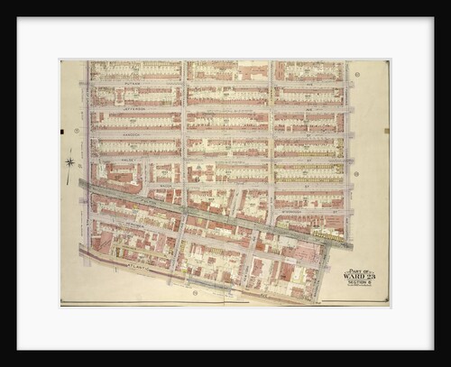 Map bounded by Madison St., Tompkins Ave; Including Brooklyn Ave., Atlantic Ave., Bedford Ave., New York by Anonymous