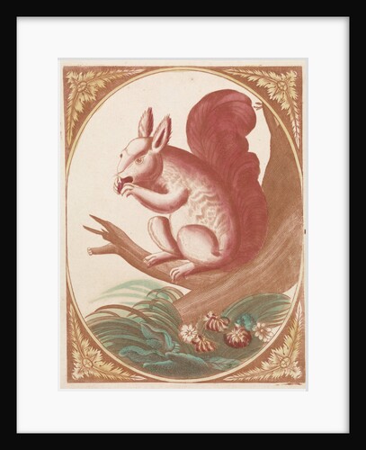 Squirrel on a tree branch by Johan Teyler